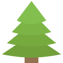 evergreen_tree