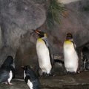 Linux User Group